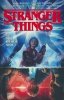 STRANGER THINGS VOL 01 OTHER SIDE TP [9781506709765]